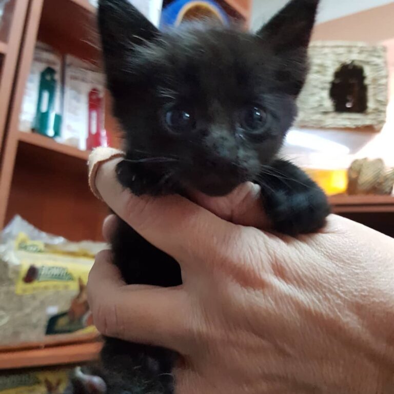 96762683 3156245881087073 4886591340147638272 n 768x768