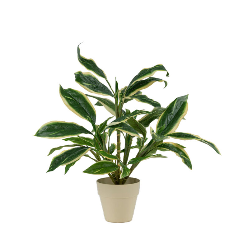 τεχνητό φυτό δράκαινα 053 768x768