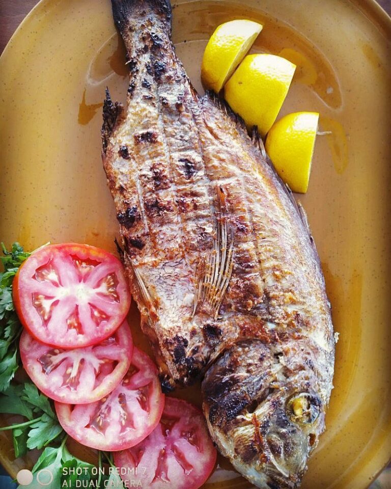 268456542 984726612148191 5027336370366080508 n 768x960