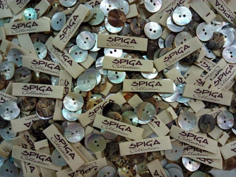 301612683 745591236546499 7702247569203753918 n 768x576