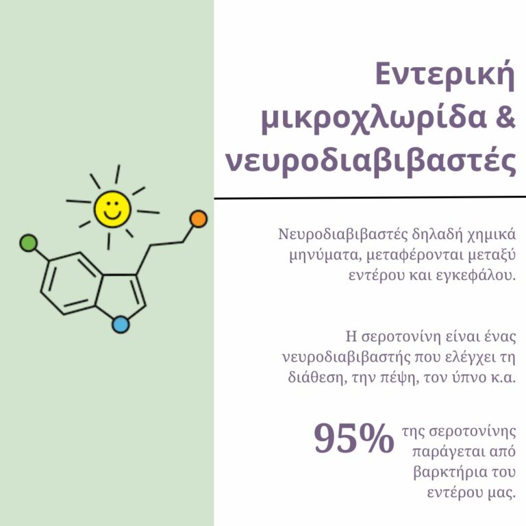 328684571 733624314795090 79140173909100112 n 768x768