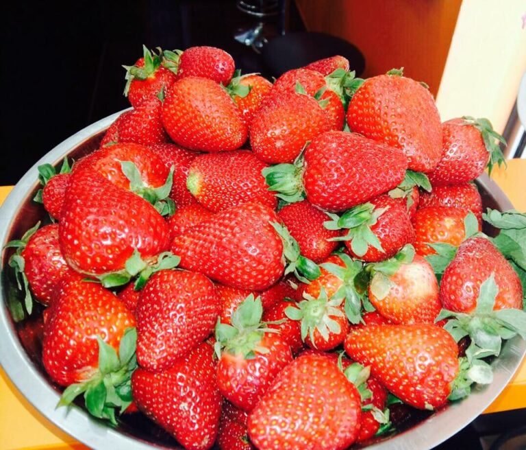 13241096 1218773564800137 7999669886503988063 n 768x656