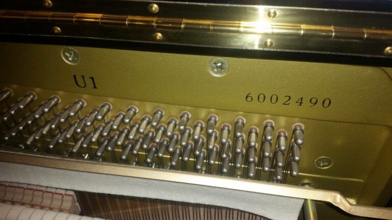 14196186 1222216104497209 672269746353035176 o 768x432