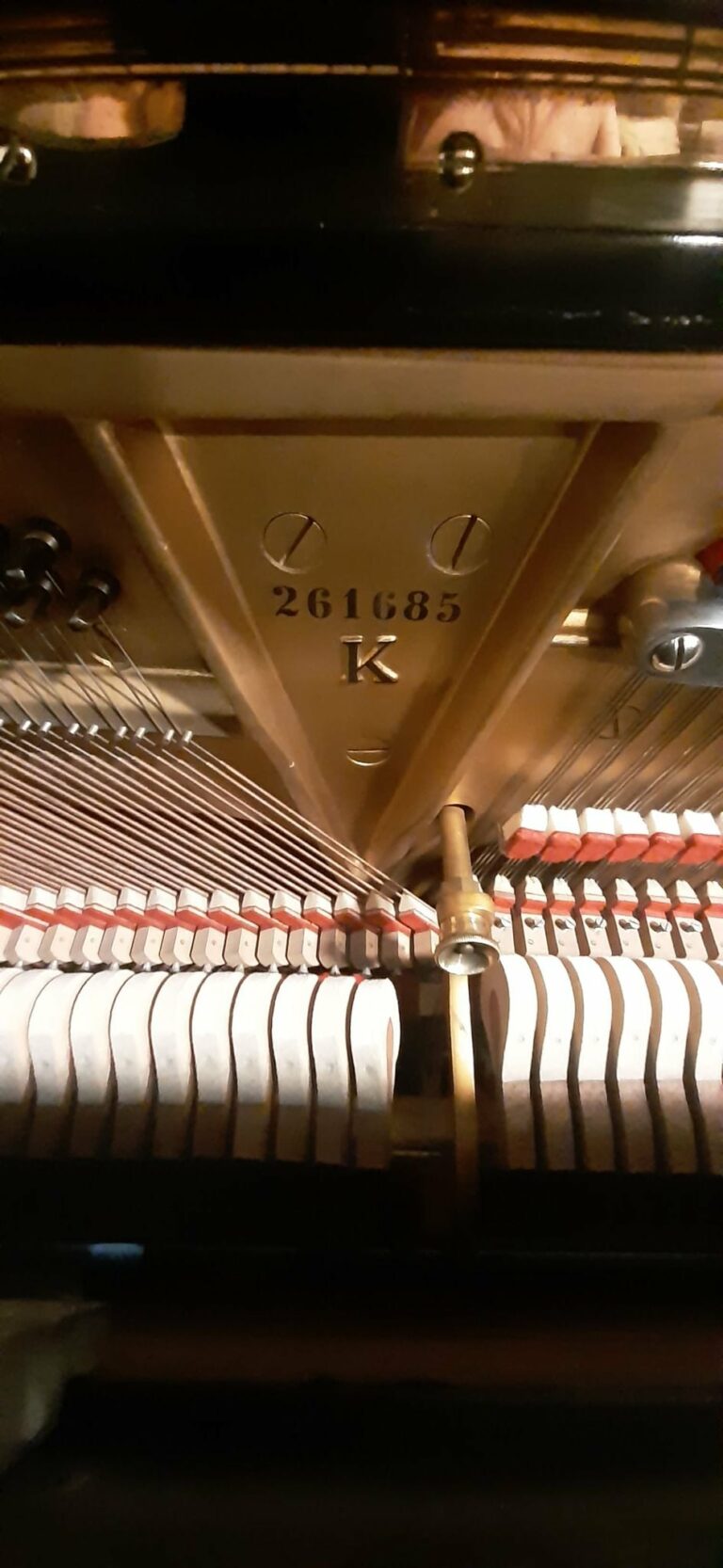 152048252 3924751427576983 7200973611863560681 n 768x1666