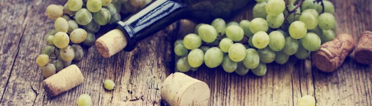 153484 header 768x220