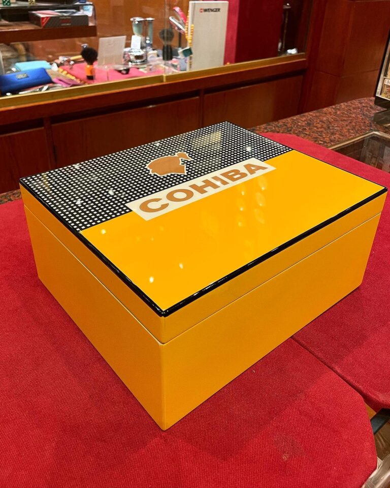 265079606 4889825294381010 5729777485568054249 n 768x960