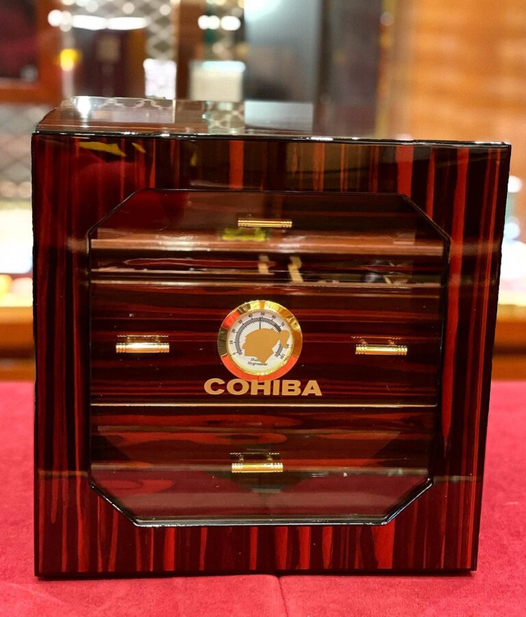 267689401 4913204438709762 5106460541151223916 n 768x901