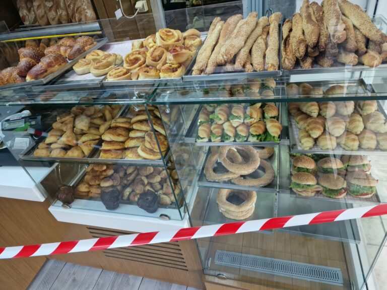 292441354 3188621164787955 5356189395077582166 n 768x576