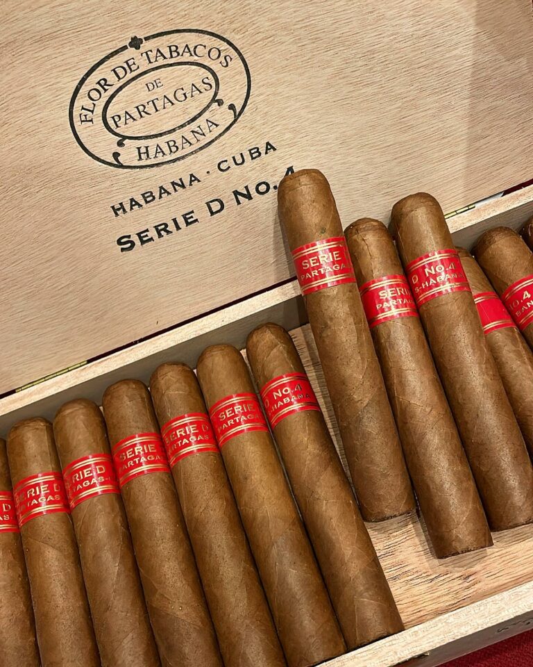 293063289 5571818136181719 3597622226934757576 n 768x960