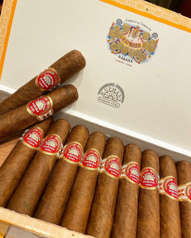 293125023 5571785729518293 5673435942747348059 n 768x960