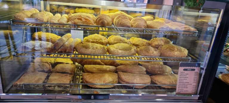 312309479 631229501731271 5411350829979580776 n 768x346