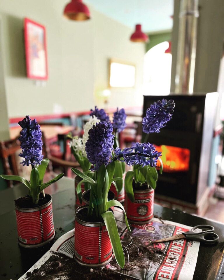 336679113 128120336880216 7189928585325161307 n 768x960