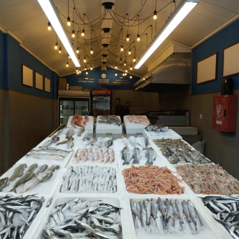 344894537 909164933712933 1756614836403672748 n 768x768