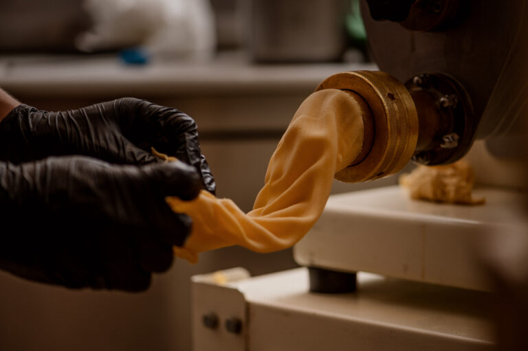 364153629 835745211346665 2233820757638834544 n 768x511