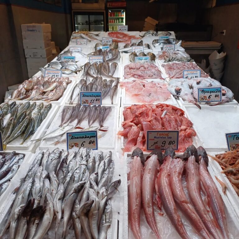 396066806 673086721596739 3533532343393233394 n 768x768