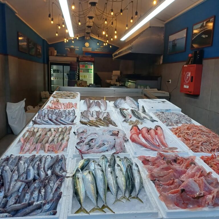 410162334 695572219348189 4587997094196842066 n 768x768