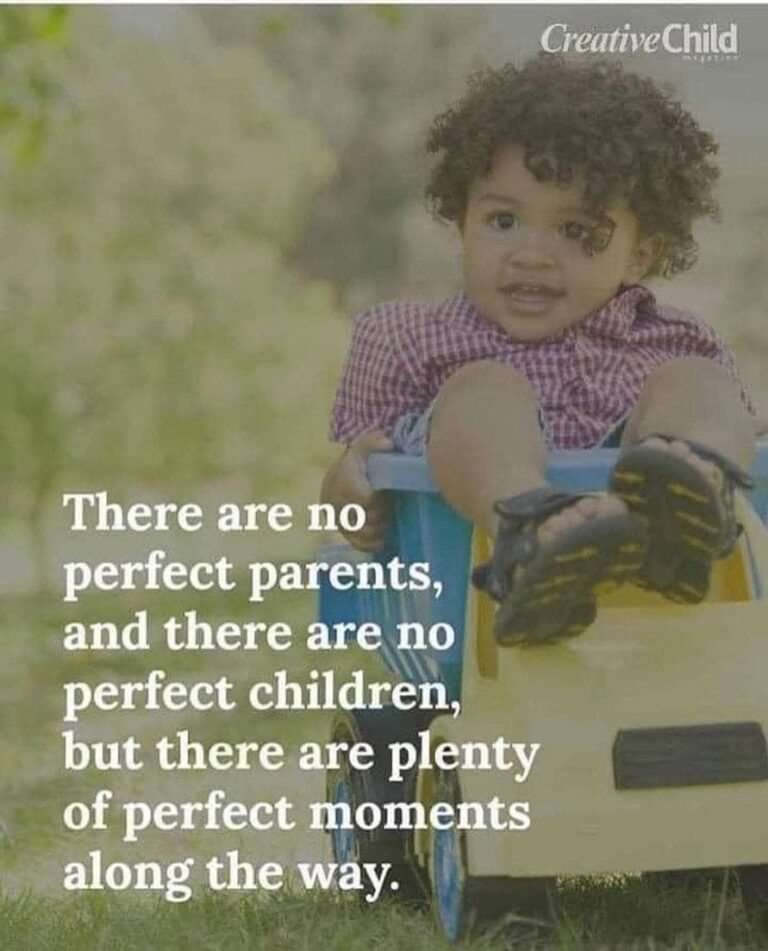 430707002 911941800935560 1894126114813641109 n 768x951