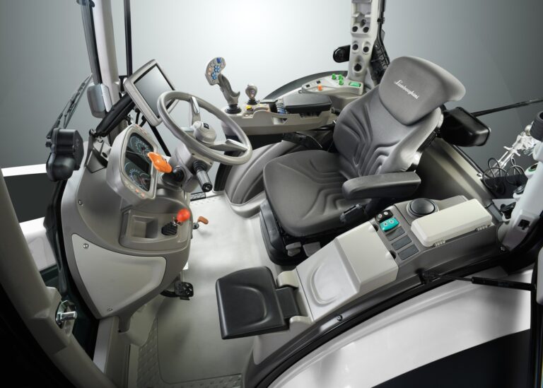 447004572 801970538578433 5975439197331340502 n 768x549