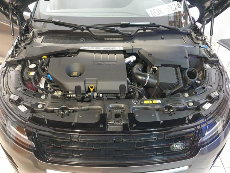 447229559 983339143586330 1329487836856275497 n 768x576