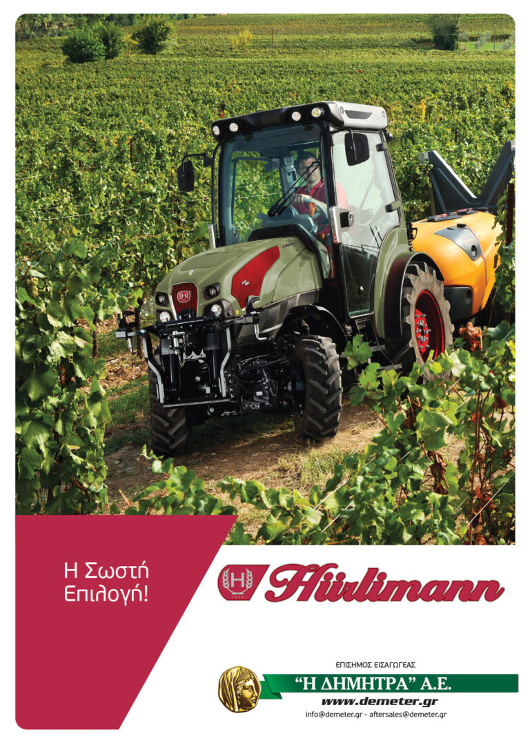 450328975 825262942915859 1210738493623755858 n 768x1079