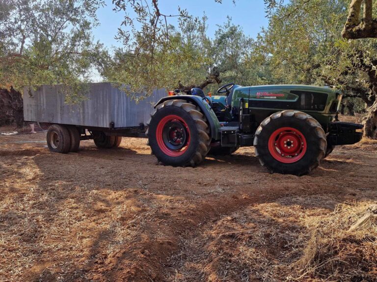 454620822 843485931093560 4324955757574478630 n 768x576