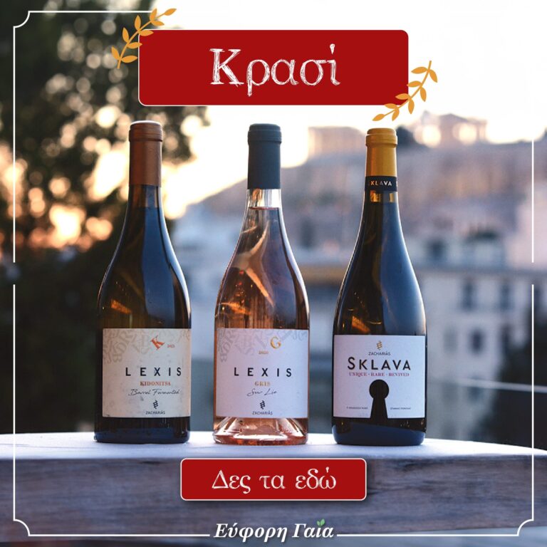 457223793 481148044782591 7445284487887643247 n 768x768