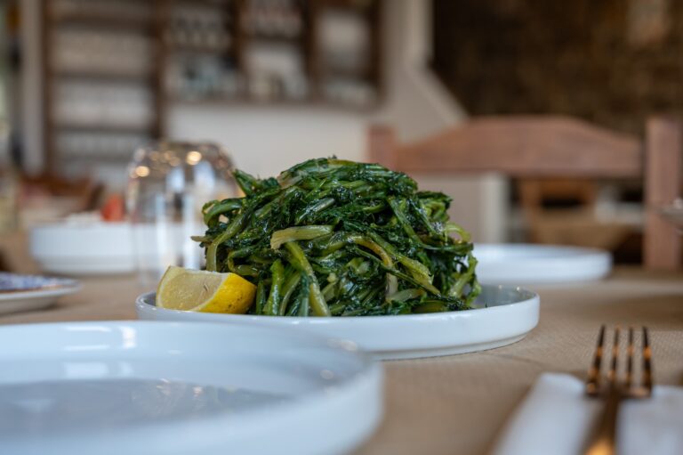 458464262 122169004412152239 5196449571123756506 n 768x511