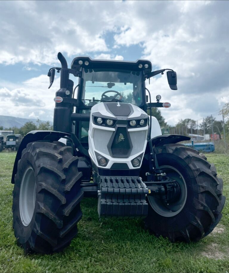 460471497 872078704900949 1455331706351312111 n 768x915