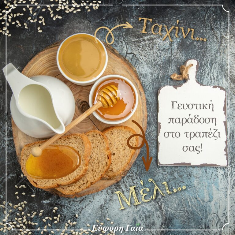 461159832 498880429676019 1845513253423106935 n 768x768