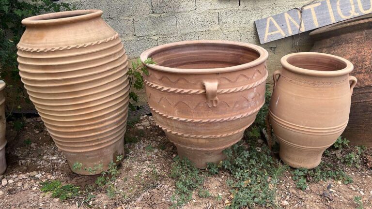 461565585 975979601208998 6697315129077027137 n 768x432