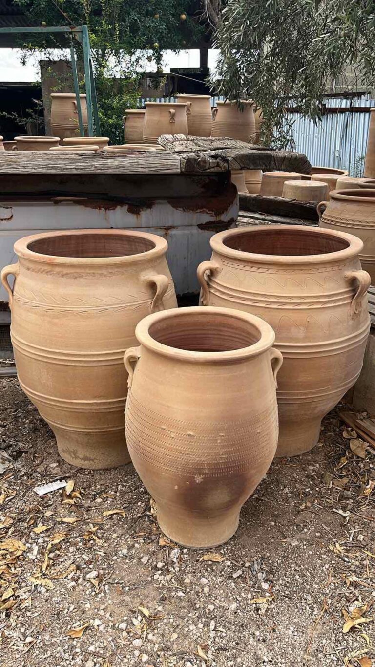 461601474 975979677875657 1931651624917619908 n 768x1365