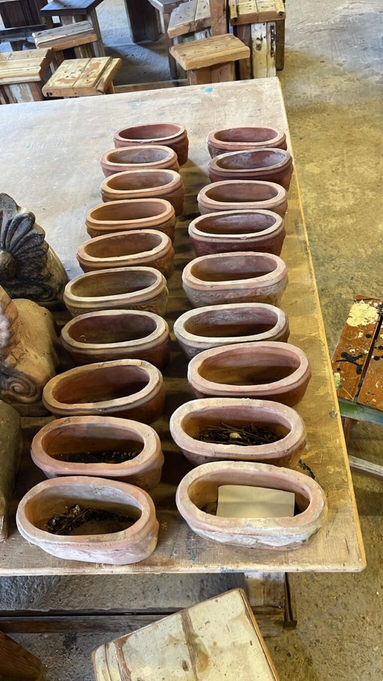 461684579 975979727875652 7702521640203900999 n 768x1365