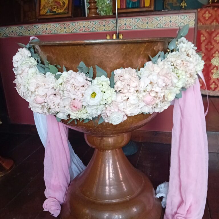 461716929 959360462665932 2663946245112597603 n 768x768