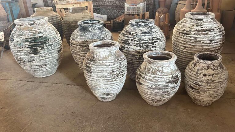 461778485 975979577875667 2580507747947134362 n 768x432