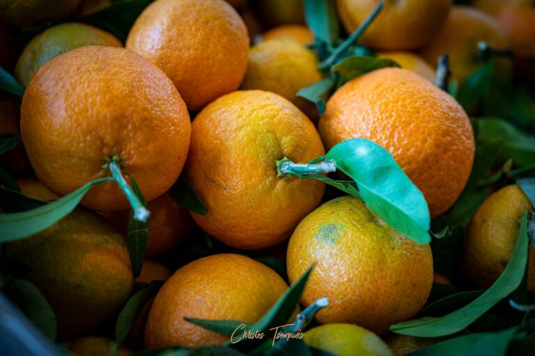 464572748 1092594732866012 3548960873267358609 n 768x511