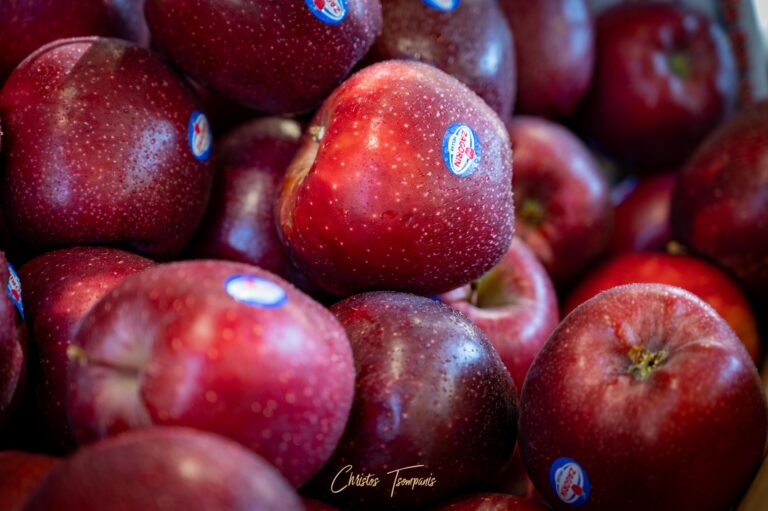 464594019 1092594772866008 2664478536469914019 n 768x511