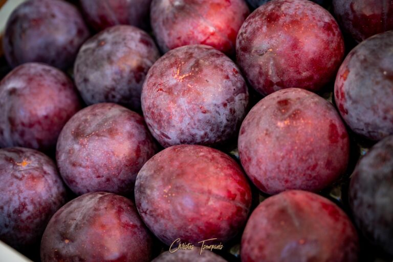 464602598 1093109919481160 3585691549651005882 n 768x511