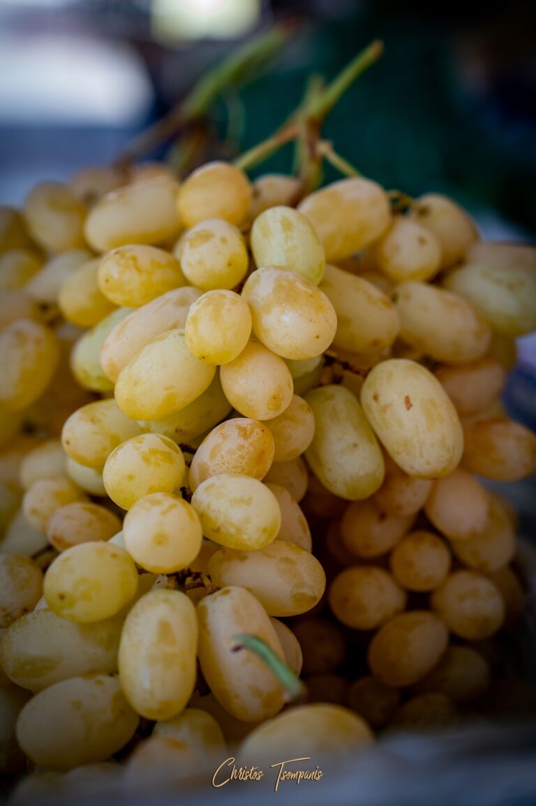 464620423 1093109946147824 4822862646616944617 n 768x1155