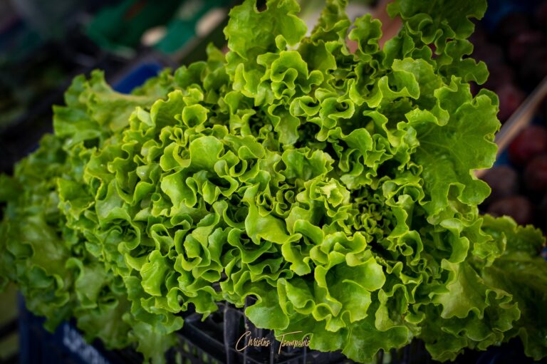 464620717 1093109892814496 1857767587271210923 n 768x511