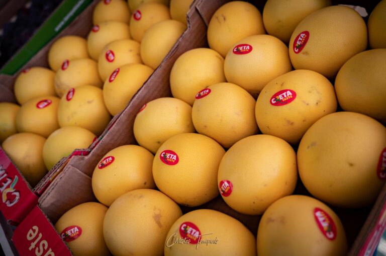 464727546 1093110029481149 8017684918001694447 n 768x511