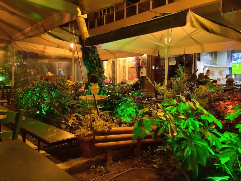 IMG 20230513 211010 768x578