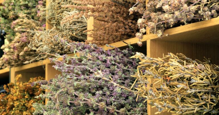 IMG 2875 1 0 768x404