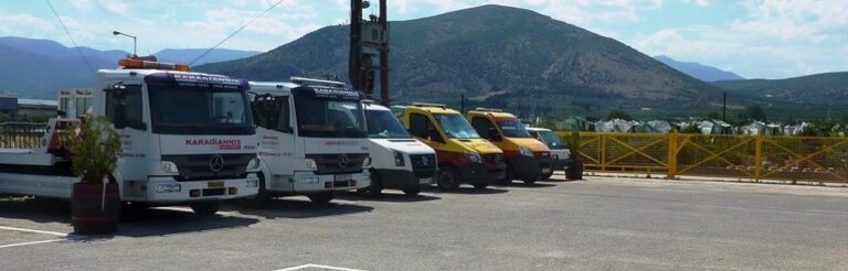 karagiannis100c 768x246