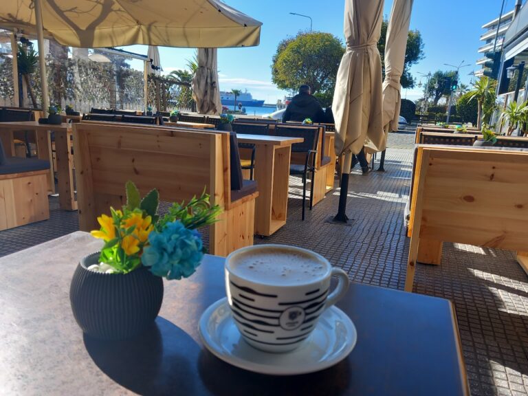 20230319 094411 768x576