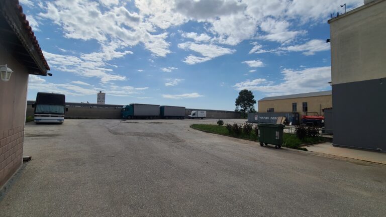 20240501 101021 768x432