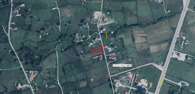 256657646 427043052361998 6935215915939640078 n 768x371