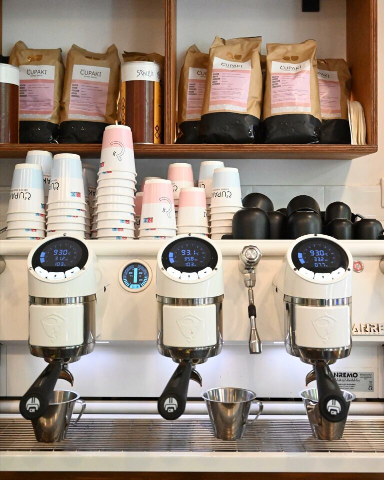 294979574 168523479069370 3595470573067907097 n 768x959