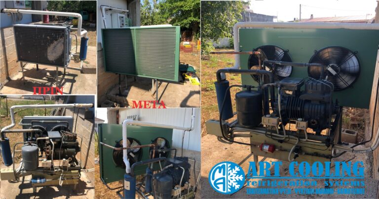 295663658 168215809051871 9194090146267182660 n 768x404