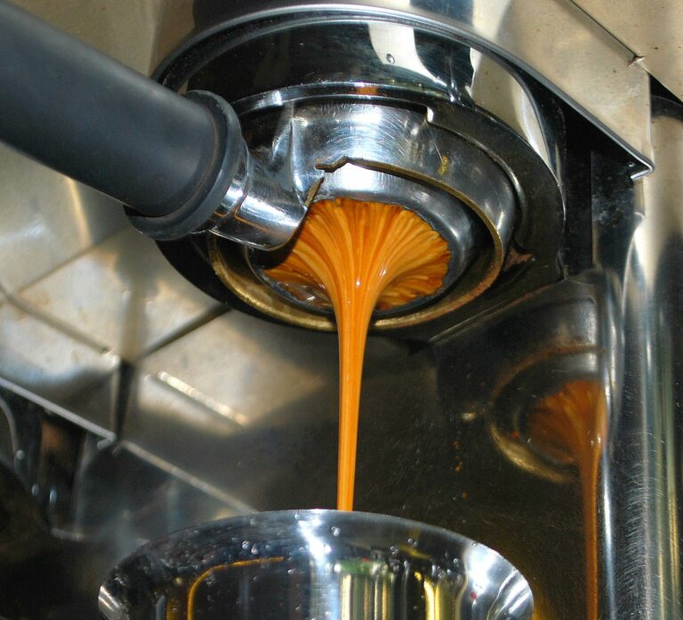 307309678 527921729334761 8971198179290598303 n 768x697