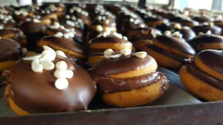 330847390 683134690162945 2769132689151782109 n 768x432